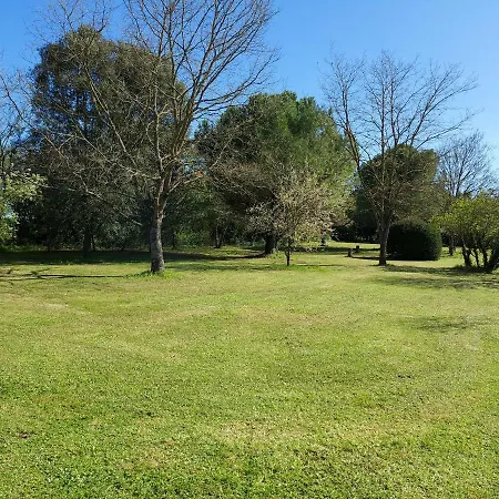 La Maison Des Grands Bambous - L'angoumois L'aunis La Saintonge La Boutonne * Louzignac