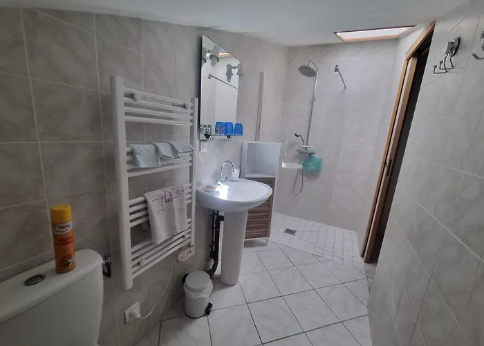 La Maison Des Grands Bambous - L'angoumois L'aunis La Saintonge La Boutonne בית נופש