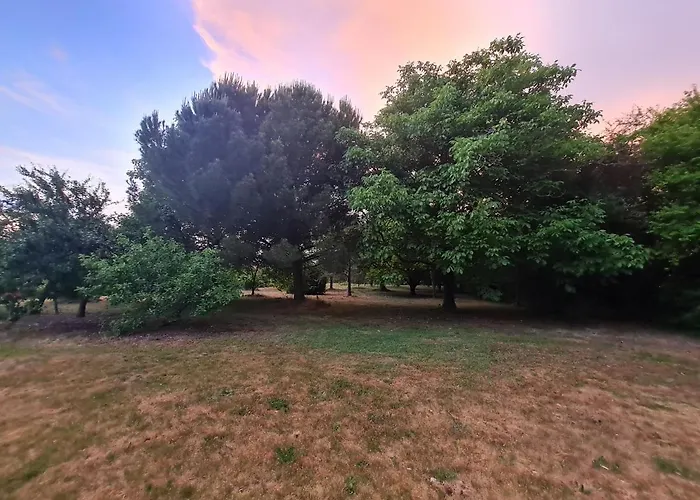 בית נופש La Maison Des Grands Bambous - L'angoumois L'aunis La Saintonge La Boutonne *